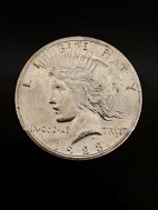 Slv doller 1928