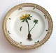 Royal Copenhagen, Flora Danica. Kage tallerken. Design #3551. Diameter 17 cm. (1 
sortering). Helleborus hyemalis L