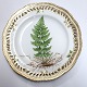 Royal Copenhagen, Flora Danica. Frokost tallerken med gennemskåret bort. Design 
#3554. Diameter 23 cm. (1 sortering). Produceret før 1890. Lastrea cristata 
Presl