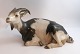 Royal Copenhagen. Liggende ged. Model # 466. Længde 27,5 cm. (1 sortering). 
Produceret før 1923.