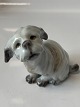 Dahl Jensen hunde figur, Malteser.
Dek. Nr. 1120