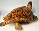Pegasus – Kunst 
- Antik - 
Design 
präsentiert: 
Ausgestopfte 
Schildkröte, 
19./20. 
Jahrhundert. 