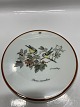 Hunting set Mads Stage Spreader / Plate, (Perus caeruleus)
Blue tit. 16 cm.