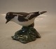 2144 Kgl. 
Fluesnapper 8 x 
13 cm Platten 
Hallermundt 
1920 ...