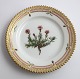 Lundin Antique 
præsenterer: 
Royal 
Copenhagen, 
Flora Danica. 
Kage tallerken. 
Design #3552. 
Diameter 14,5 
cm. (1 ...