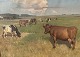 Knud EdsbergCows in fieldDKK 2400