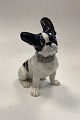 Danam Antik præsenterer: Tysk Heubach Porcelænsfigur af Fransk Bulldog