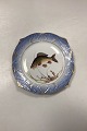 Danam Antik præsenterer: Royal Copenhagen Blåt Fiskestel Tallerken No. 19/3002