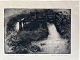 Ole Buus Larsen præsenterer: Gravure af Knud Dybvad - Ved Vandmøllen 1922