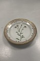 Danam Antik præsenterer: Royal Copenhagen Flora Danica Salat Tallerken No. 20/3573