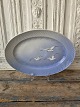 Karstens Antik præsenterer: B&G Mågestel uden guldkant stort fad No. 14 - 46,5 cm.