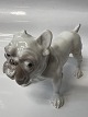 Bing & Grøndahl Hundefigur, BulldogDek. nr. 1676