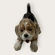 Moster Olga - Antik og Design præsenterer: Bing & GrøndahlBeagle hvalp#2564*475kr