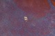 sub: 3