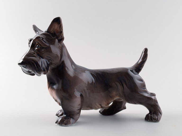 Dahl Jensen number 1066, Scottish Terrier standing (DJ)
