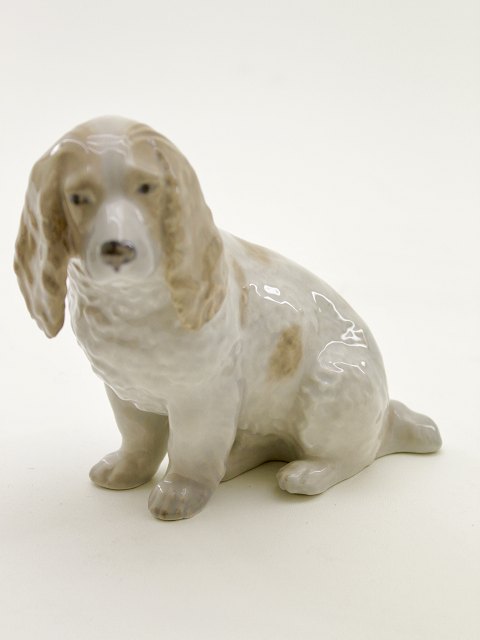 Royal Copenhagen Cocker Spaniel 3116